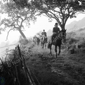 Pony Trekking, Nidderdale